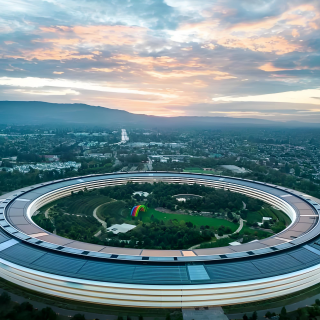 我在美国留学摘维他柠檬茶