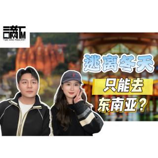 vlo.43：逃离冬天，只能去东南亚？