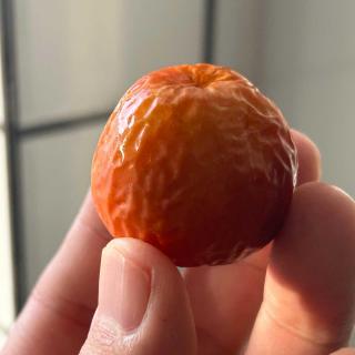 换季、黄帝内经、高血压，以及低配得感