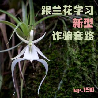 EP190 跟兰花学习新型诈骗套路