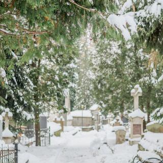 我的同学离世了，才28岁。