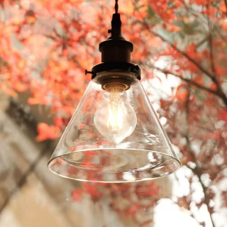 Ep.75 向阳而生｜当我们放下预设与期待后会发生什么？