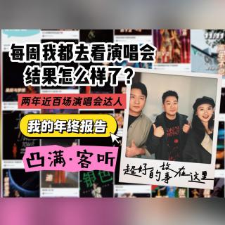 vlo.44：你敢信，我一年看了50多场演唱会！