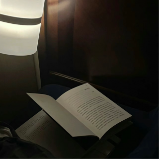 Vol.46｜在暮色的森林里，呼吸自由的氧气。