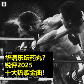 三好乱弹 - 华语乐坛药丸？锐评2025十大热歌金曲！