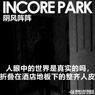 vol.491 阴风阵阵 眼中看到的世界是真实的吗，折叠在酒店地板下的整齐人皮