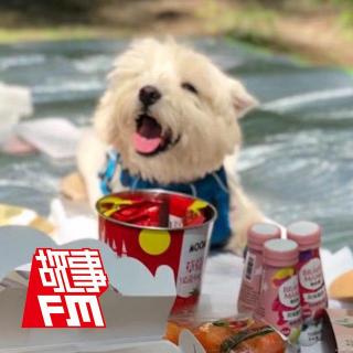 爱犬被毒死案后续：今日宣判，被告获刑 4 年 | 故事重播