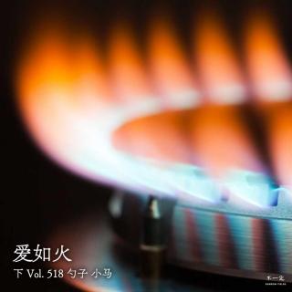 Vol. 518 爱如火（下）