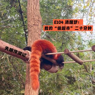 E104 清醒梦：我的“偷超市”二十分钟