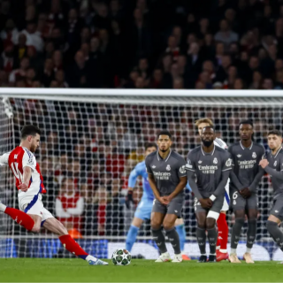 295 全球精子质量研究