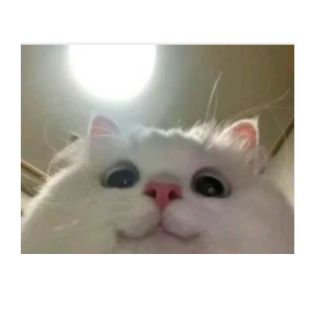 精神科医生的真实生活，和我们对精神病的常见误解