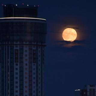 他已经睡了，你就别熬夜想他了。