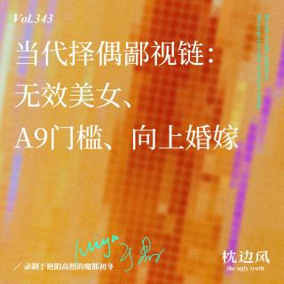 vol.343 当代择偶鄙视链：无效美女、A9门槛、向上婚嫁