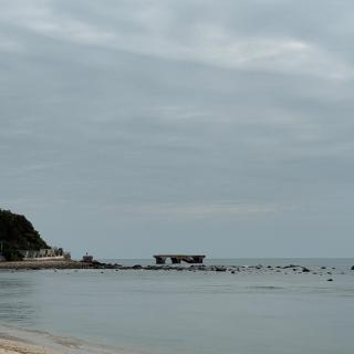 2025海影节：阿凡达3，罗目的黄昏，青椰训练营，节展利益交换、实验片、信息壁垒