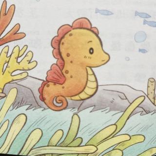 睡前故事3089《彩虹滑梯》之《海马爸爸生宝宝》