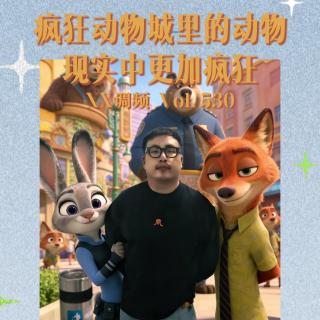 疯狂动物城里的动物现实中是更加疯狂？Vol.530 XXFM