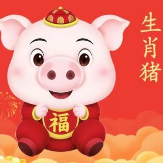 玄正讲堂-2026丙午年十二生肖运程-猪