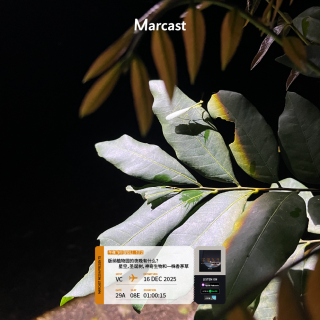 午夜飞行 Vol.172 版纳植物园的夜晚有什么？星空，圣诞树，神奇生物和一株香