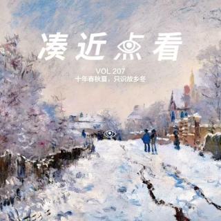 VOL 207 - 十年春秋夏，只识故乡冬