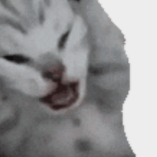 为了治头痛，外婆为我在庙里供香|当代青年养生图鉴06集