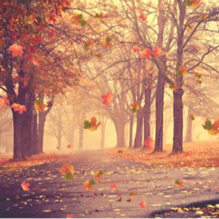 民谣诗人万晓利精选集