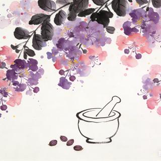 15.中医入门，就看罗大伦