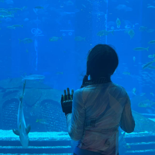 EP22 骑行小白第一次长途就冲了海南环岛，勇敢的人先享受世界？