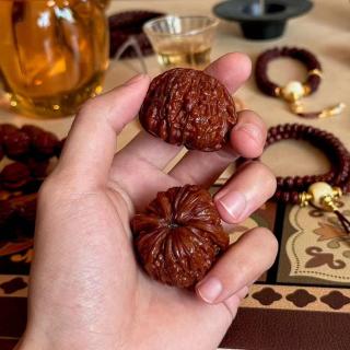 vol.036 🎄👴💡你是“老登”了吗？“登味”自测指南让你无所遁形🎄?