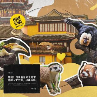 开团！日谈看世界之南京博物人文之旅，经典返场