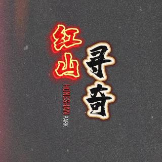 369--山里的东西又出来了——这~应该是个动物吧