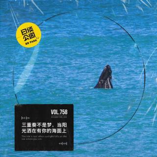 vol.758 三重奏不是梦，当阳光洒在有你的海面上