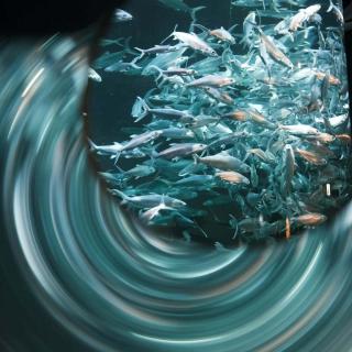 过刊077：落雪的香港，人们已经见过了