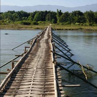 vol 72 从酸蚂蚁到杀猪饭，在云南解锁风味地图