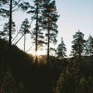 EP123丨「杂念」影响命运