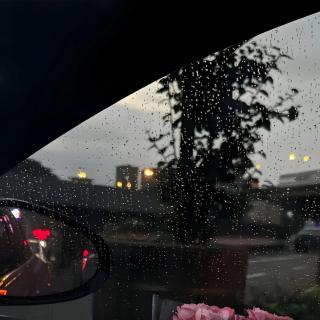 谢谢你，陪我走过这一年。