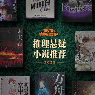 82 真相壁炉2025年度推理悬疑小说推荐