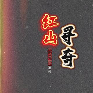 374--出门才能遇怪事啊——敖太线和戈壁滩