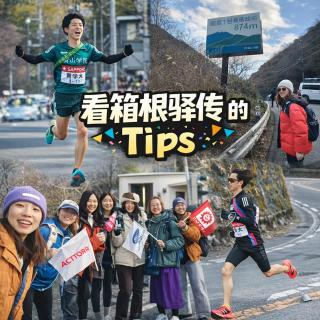 115 看箱根驿传的Tips @箱根驿传