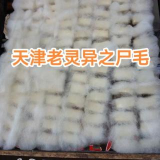 天津老灵异之尸毛（重置版）