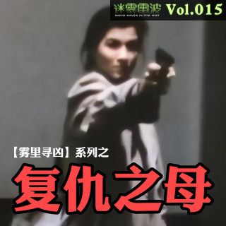 Vol.015 | 雾里寻凶：德国复仇之母玛丽安·巴赫迈尔——一位母亲的私刑正义