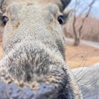 vol.69.不上班去旅行：从南通跨年音乐节，到盐城自然生态寻野