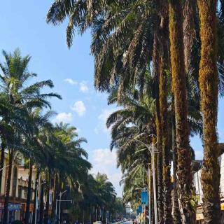 EP23 这座东南亚风情的云南边境小城芒市，究竟能有多好吃😋？