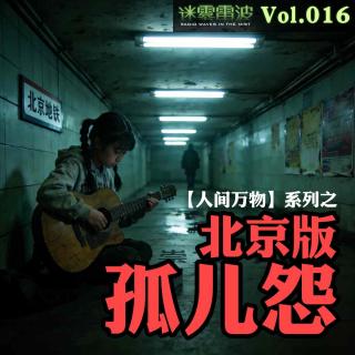 Vol.016 | 人间万物：北京版【孤儿怨】——中年妇女的萝莉诈骗传奇