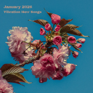 1月新歌推荐丨XG、坂本慎太郎、啤酒妹、Leo王…新年爆发🎉