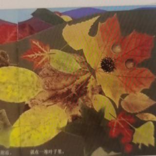 叶子先生——儿童诗绘本