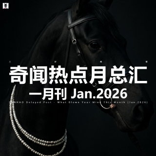 三好晚报 - 奇闻热点月总汇 （26.一月刊）下