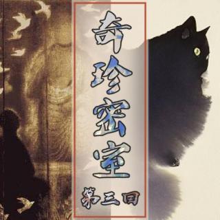 Act.03 奇珍密室｜古有针石愈神伤 & 今有灵犀见猫神