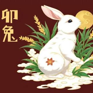 玄正讲堂-2026丙午年十二生肖运程-兔