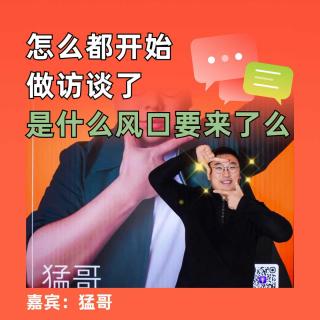 怎么都开始做访谈了，是什么风口要来了么