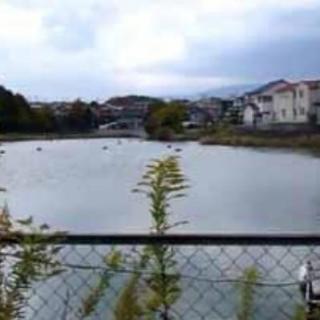 绝密档案 熊取七子怪死事件